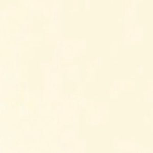 Meet your Posher, Karol